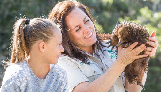 Sydney zoo set for revamp