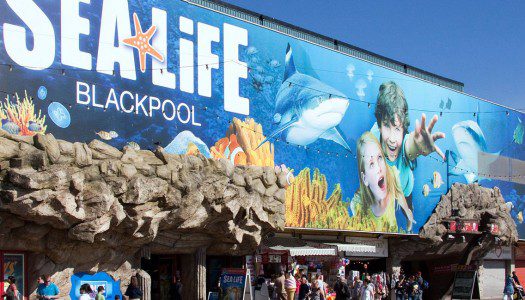 Sea Life takes stock in 2016