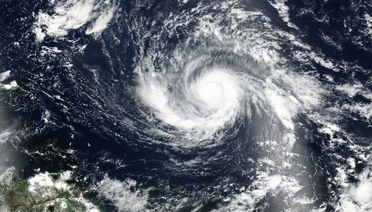 Disney donates $2.5m to hurricane relief efforts