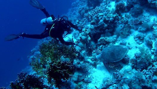 Bahrain to open world’s largest underwater theme park