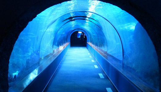 Pedestrian tunnel to be built underwater in Primošten, Croatia
