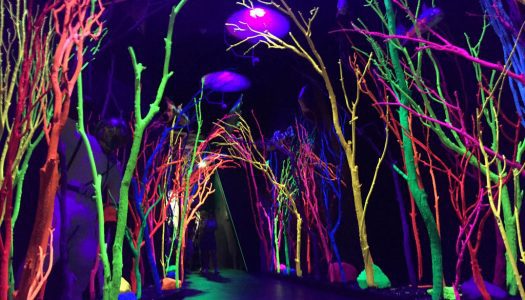Plans for Meow Wolf Phoenix announced