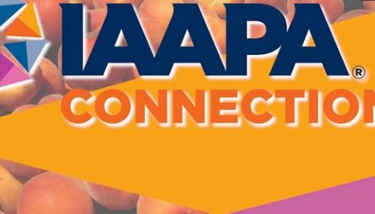 Registration open for IAAPA FEC Summit 2020 in Stone Mountain, Georgia