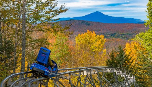ADG Mountainsides’ latest mountain coaster opens at US Olympic Venue, New York