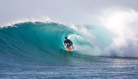 Endless Surf appoints new personnel to its growing team