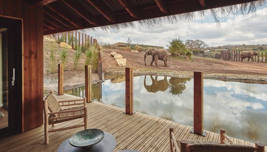 West Midlands Safari Park submits plans for rhino and giraffe lodges