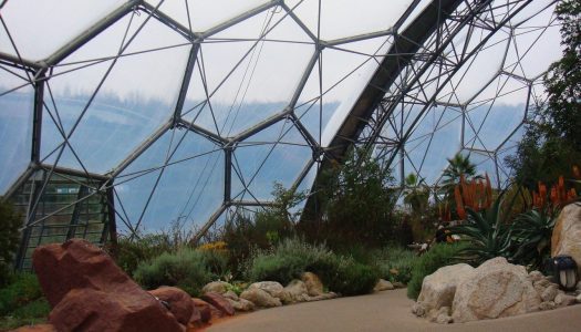 Eden Project invites local people to create content for Eden Project Dundee