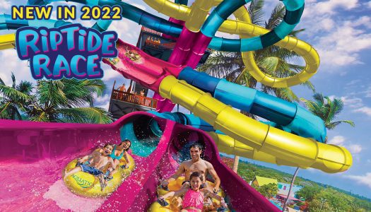 Race Dueling water slide opens at Aquatica on March 5