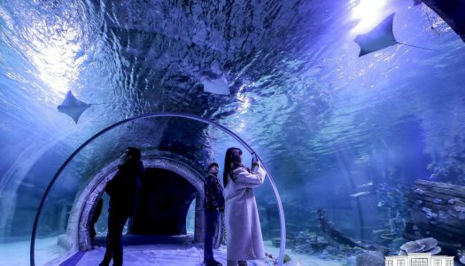 Magic Aquarium opens in Uzbekistan