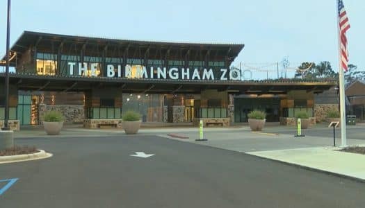 New Zoo opens in Birmingham