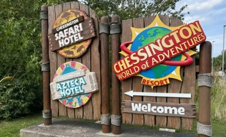 Chessington Nintendo